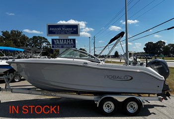 2025 Robalo R207 Alloy Gray  Boat